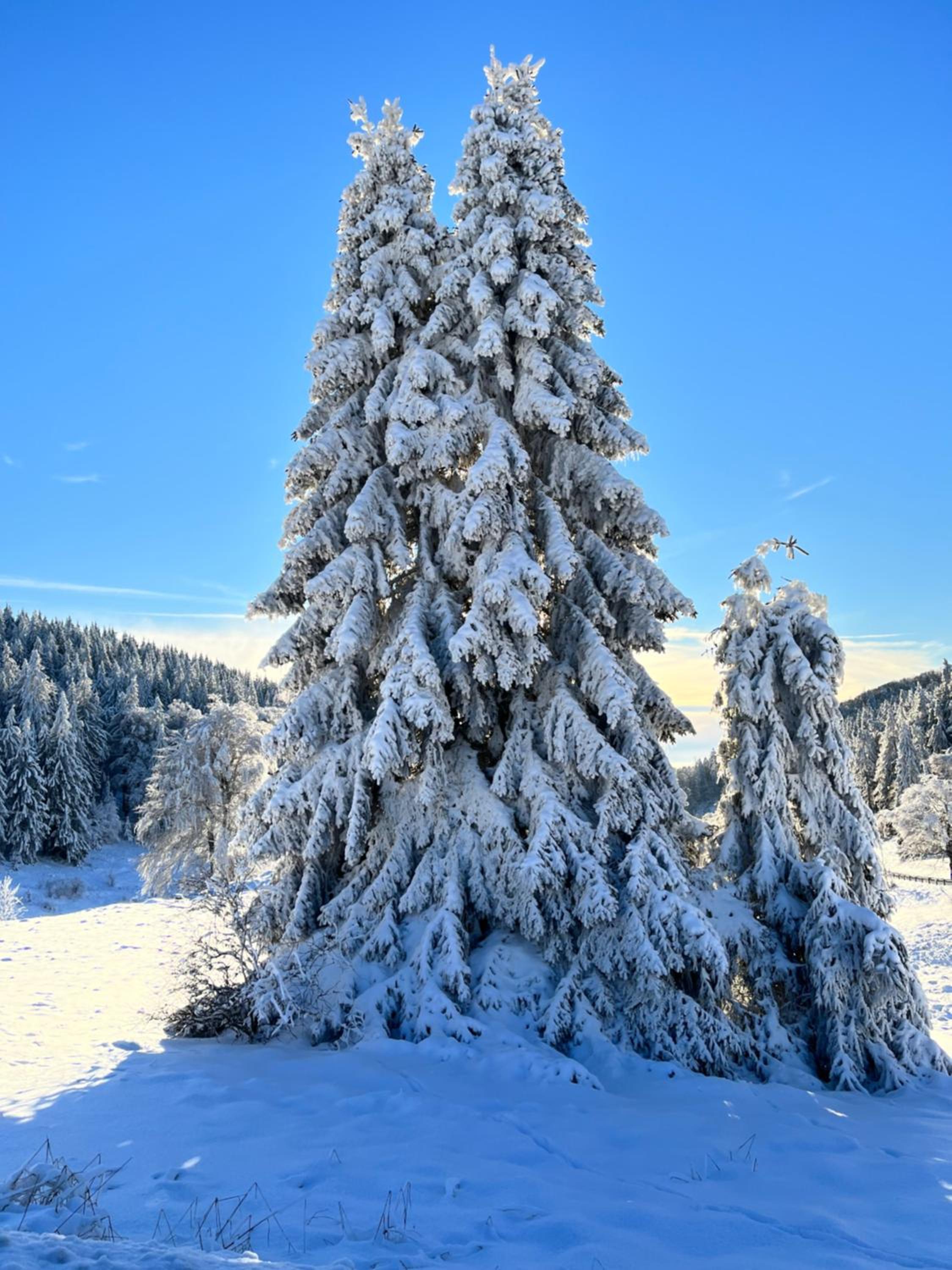 Gasthof & Pension 