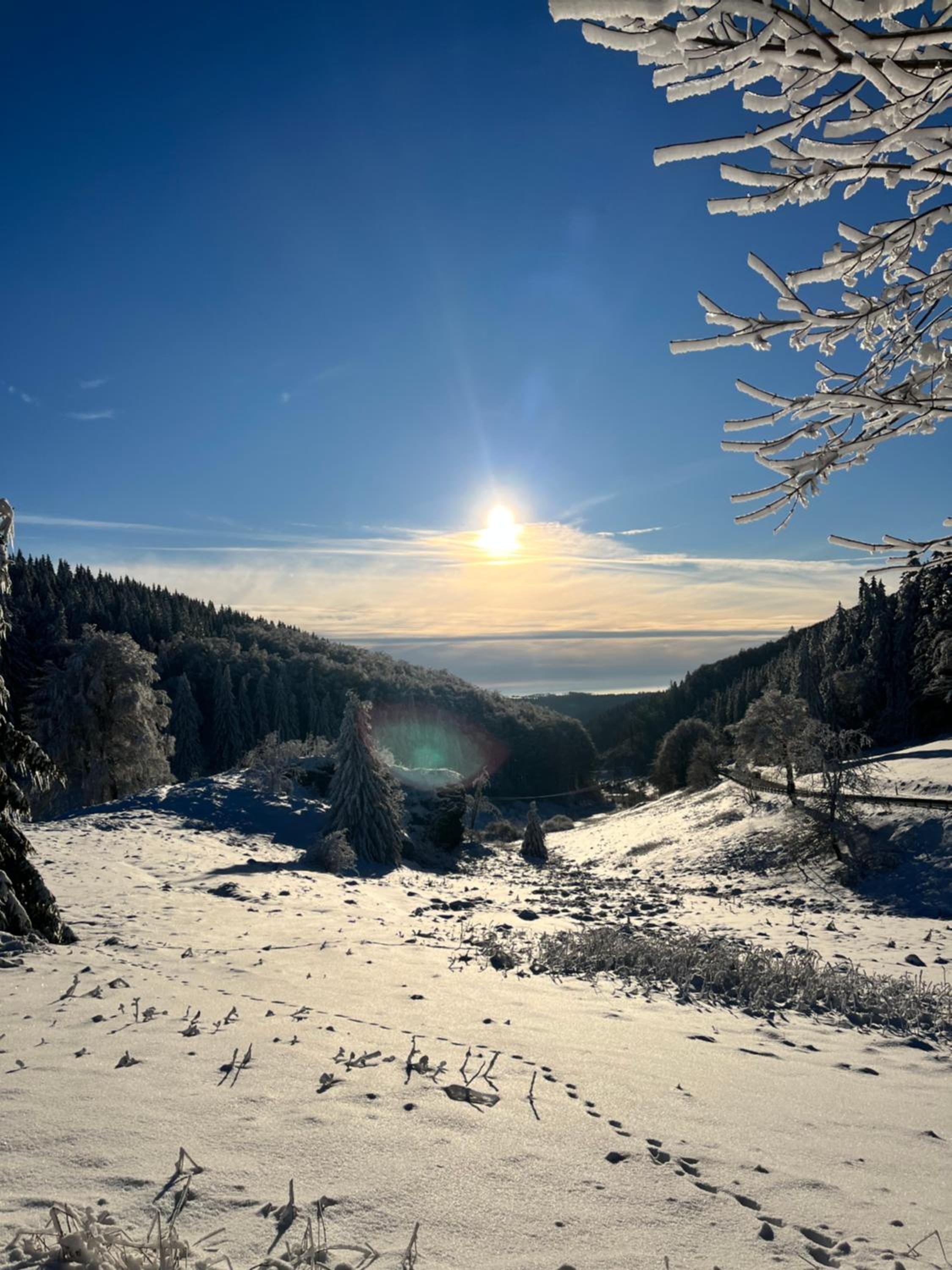 Gasthof & Pension 