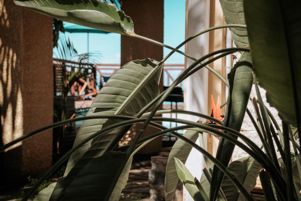 other