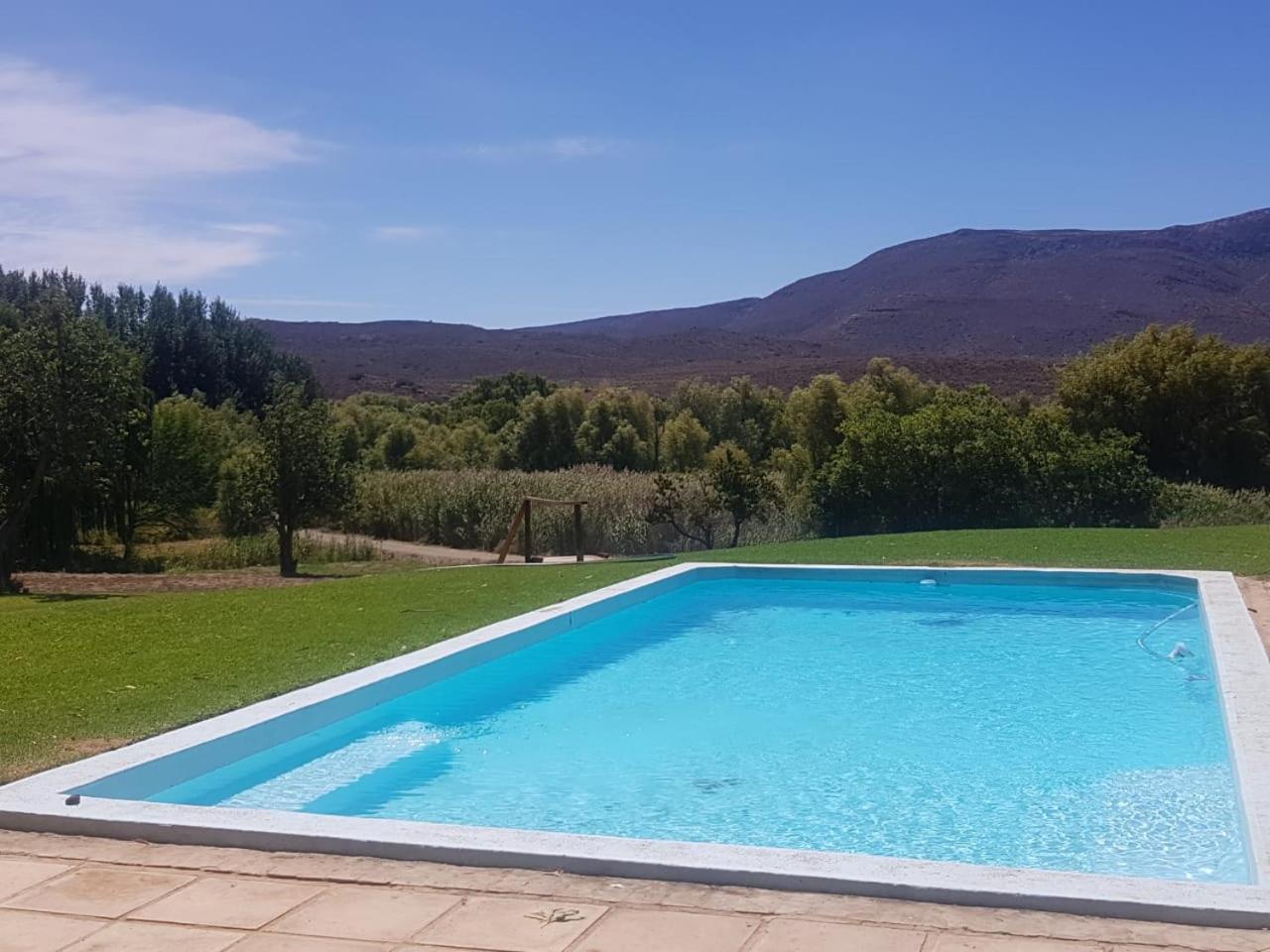 Vrisch Gewagt Boutique Self-Catering Olive Farm