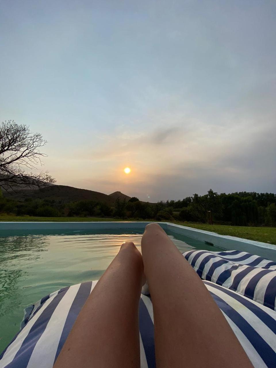 Vrisch Gewagt Boutique Self-Catering Olive Farm