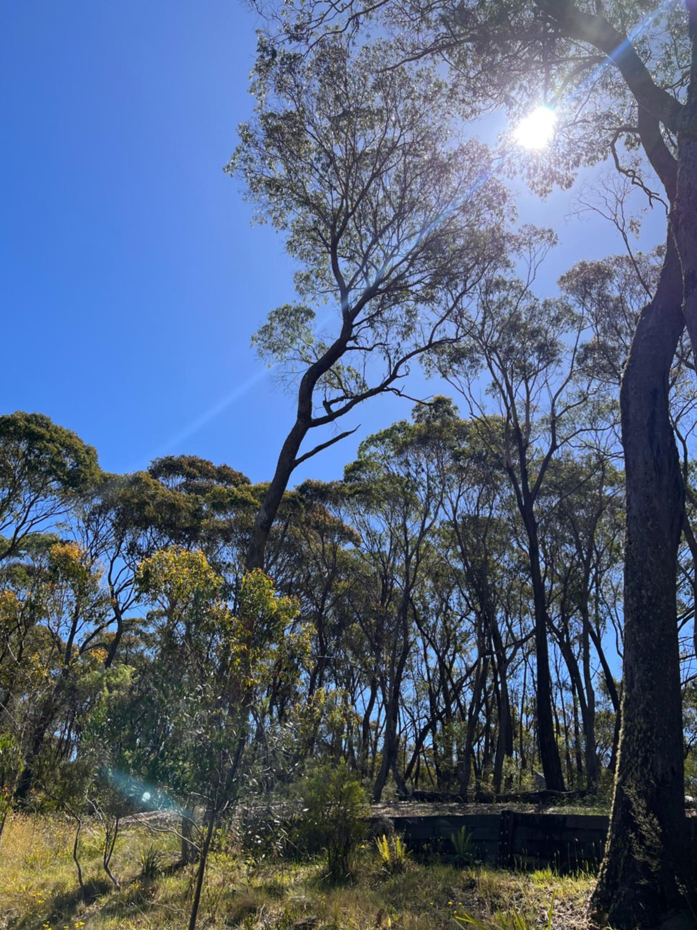 Katoomba Hideaway - Free WIFI, Netflix, Disney PLUS