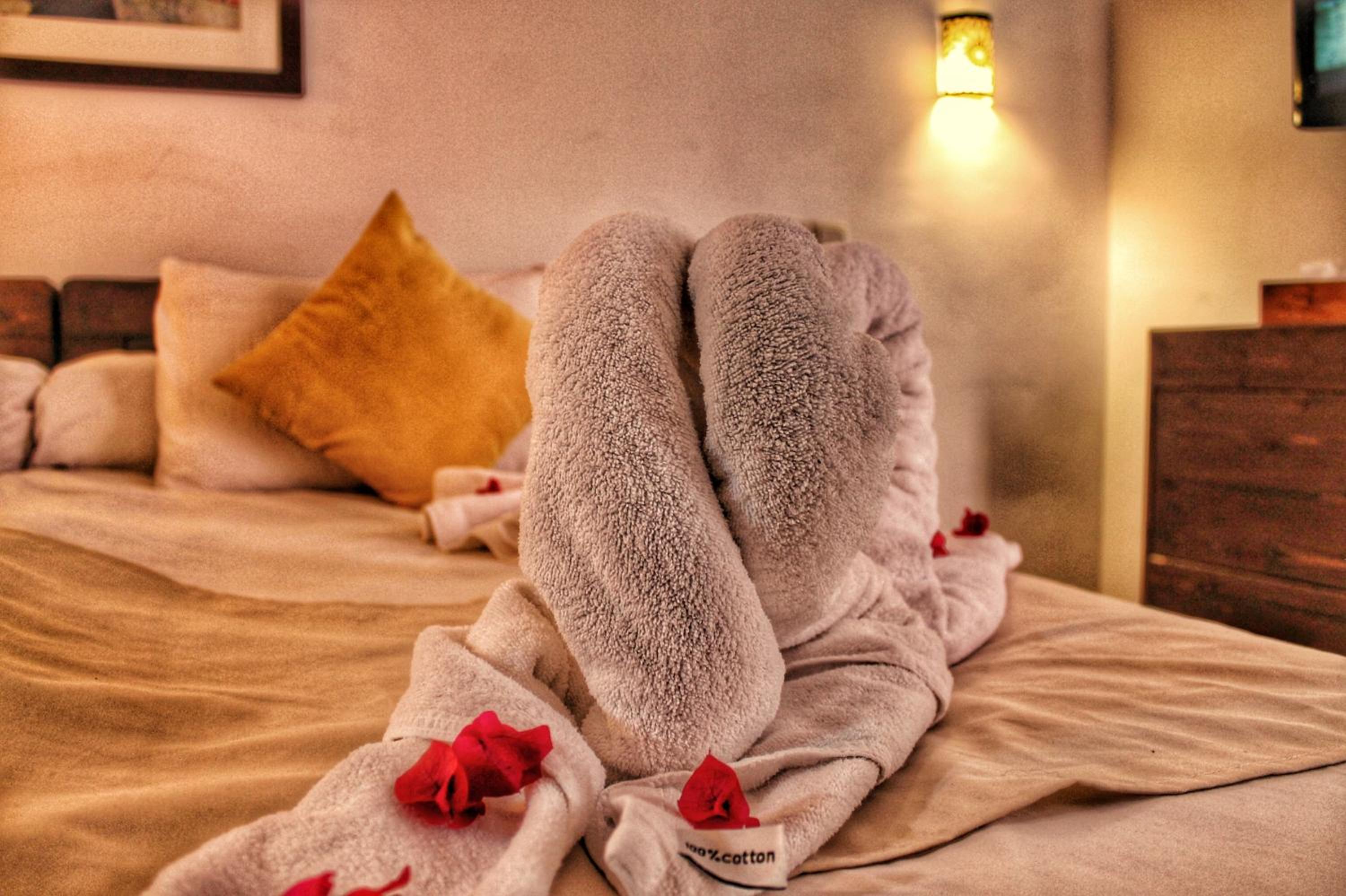 Riad Arabic House & Spa