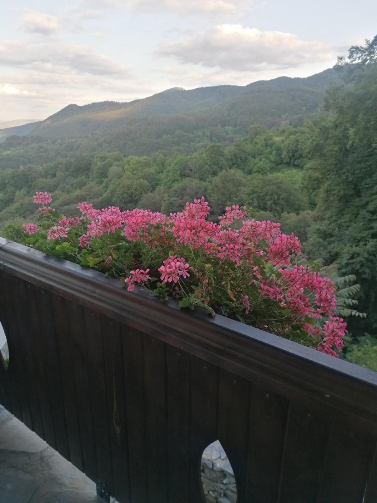 Yancheva Guest House