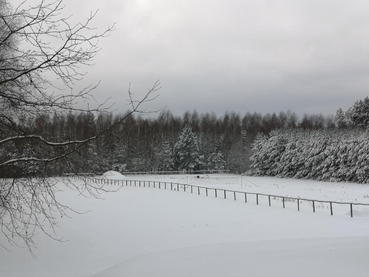 Photo 45