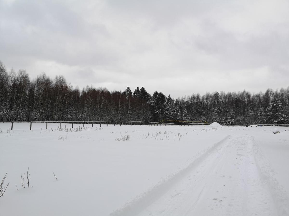 Photo 46