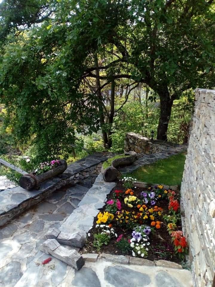 Yancheva Guest House