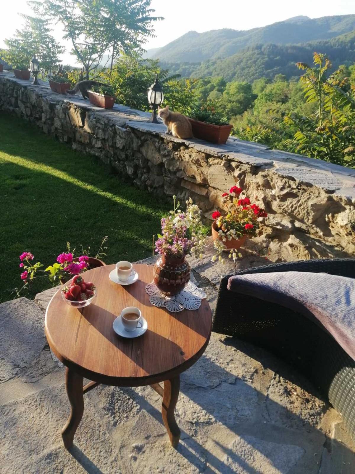 Yancheva Guest House