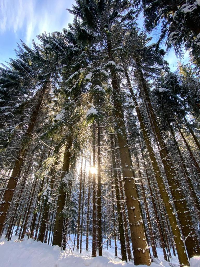 Photo 50