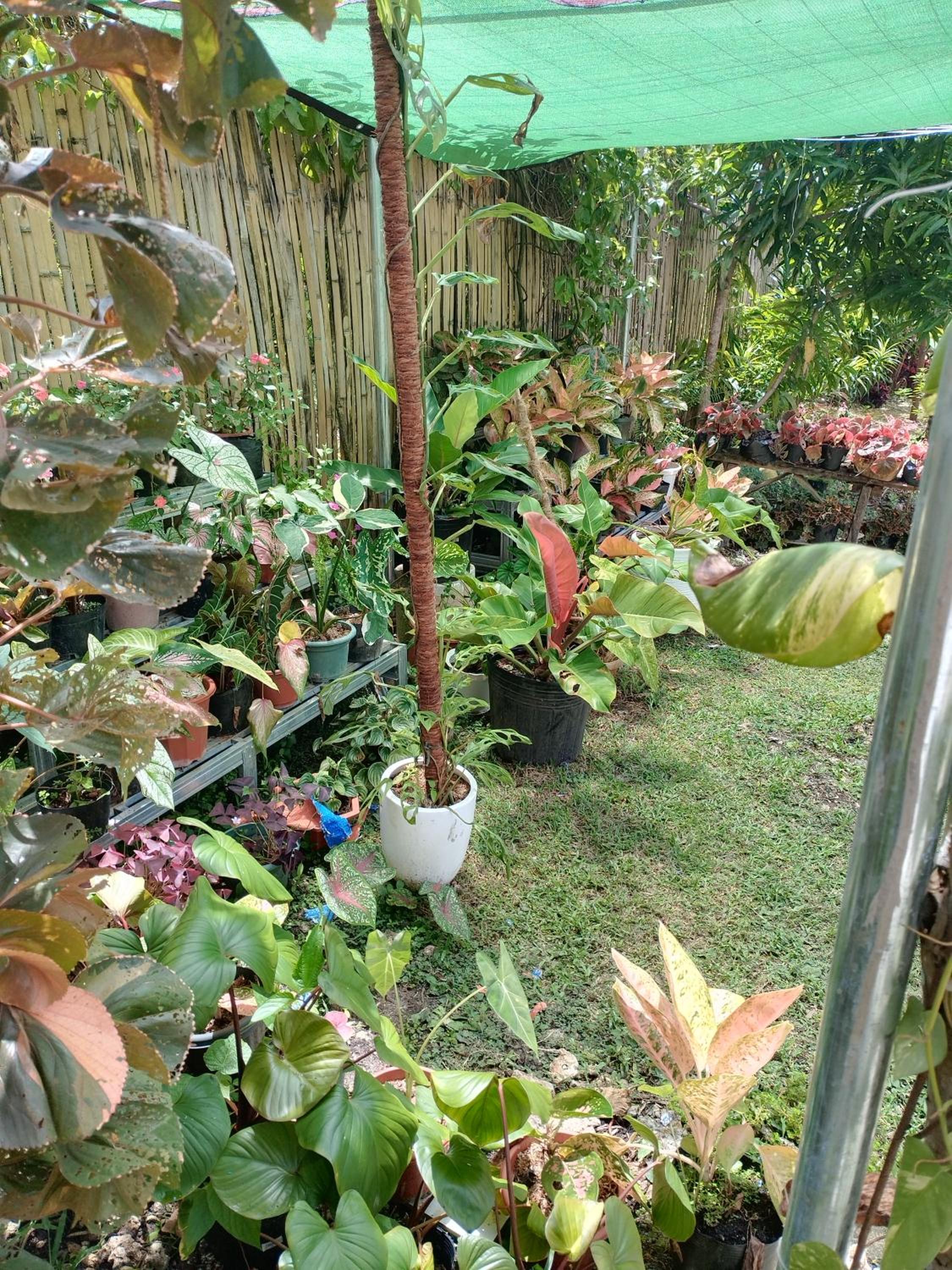 GREENSPACE view 4