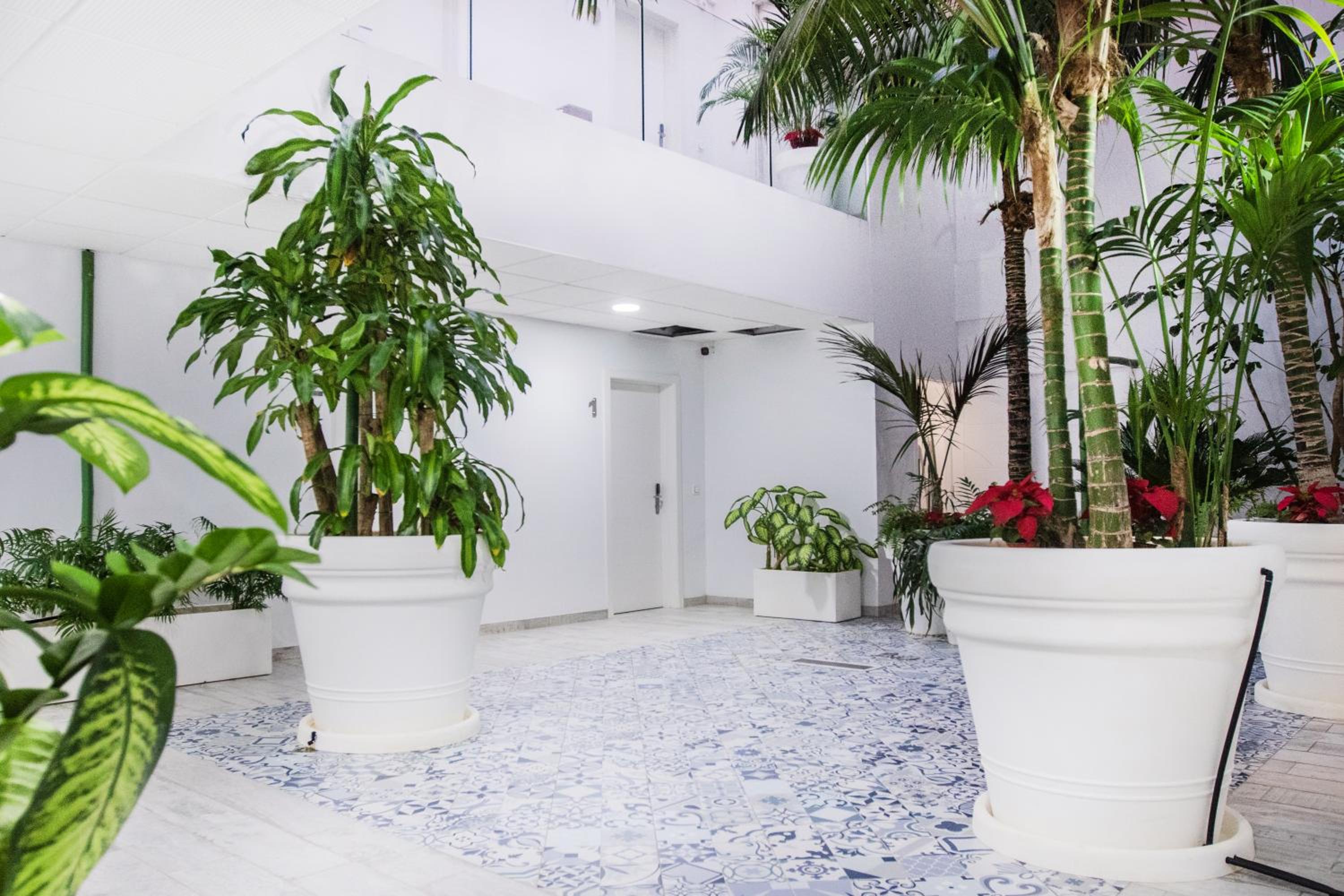 Coccoloba Suites Corralejo