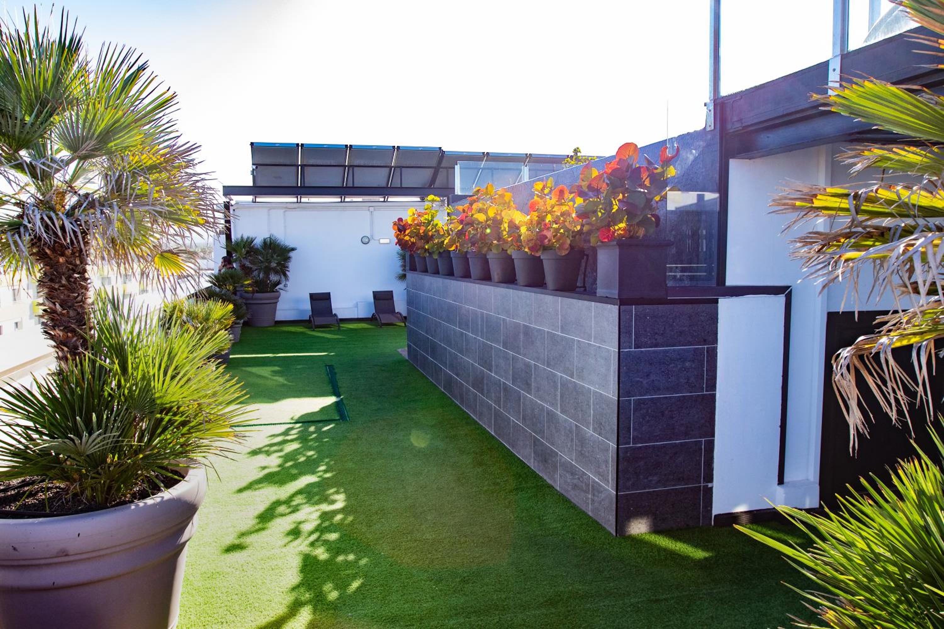 Coccoloba Suites Corralejo