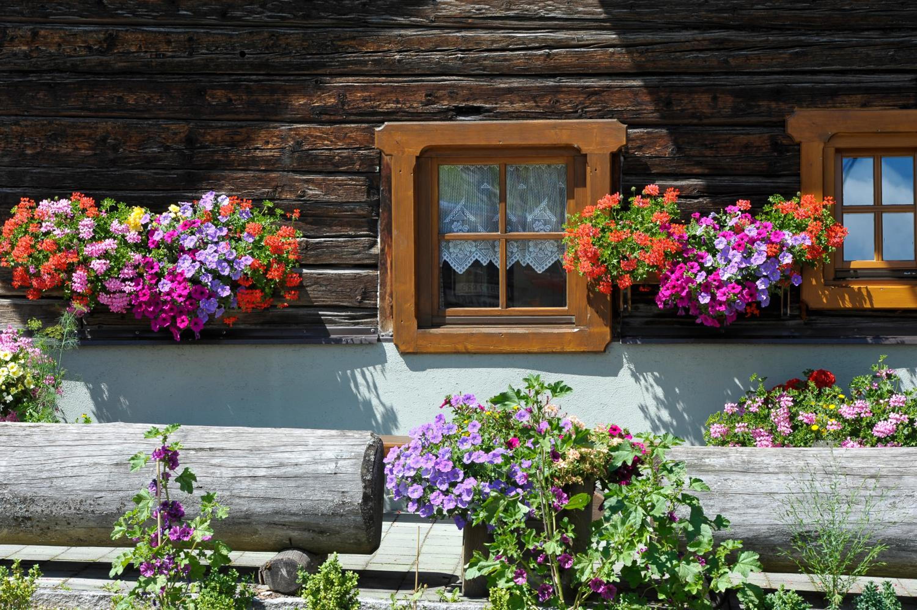 Selbstversorgerhaus Herisch