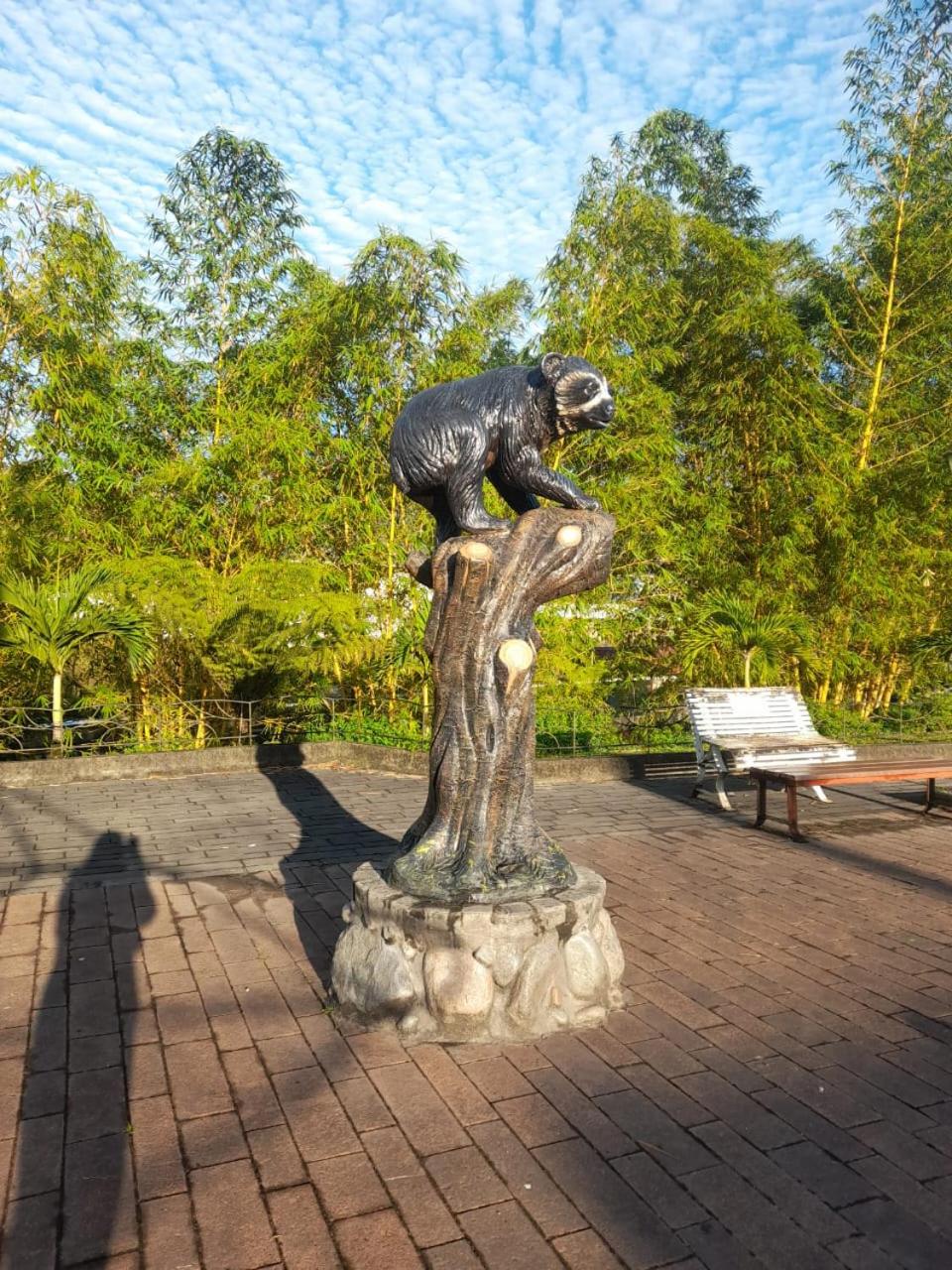Photo 26