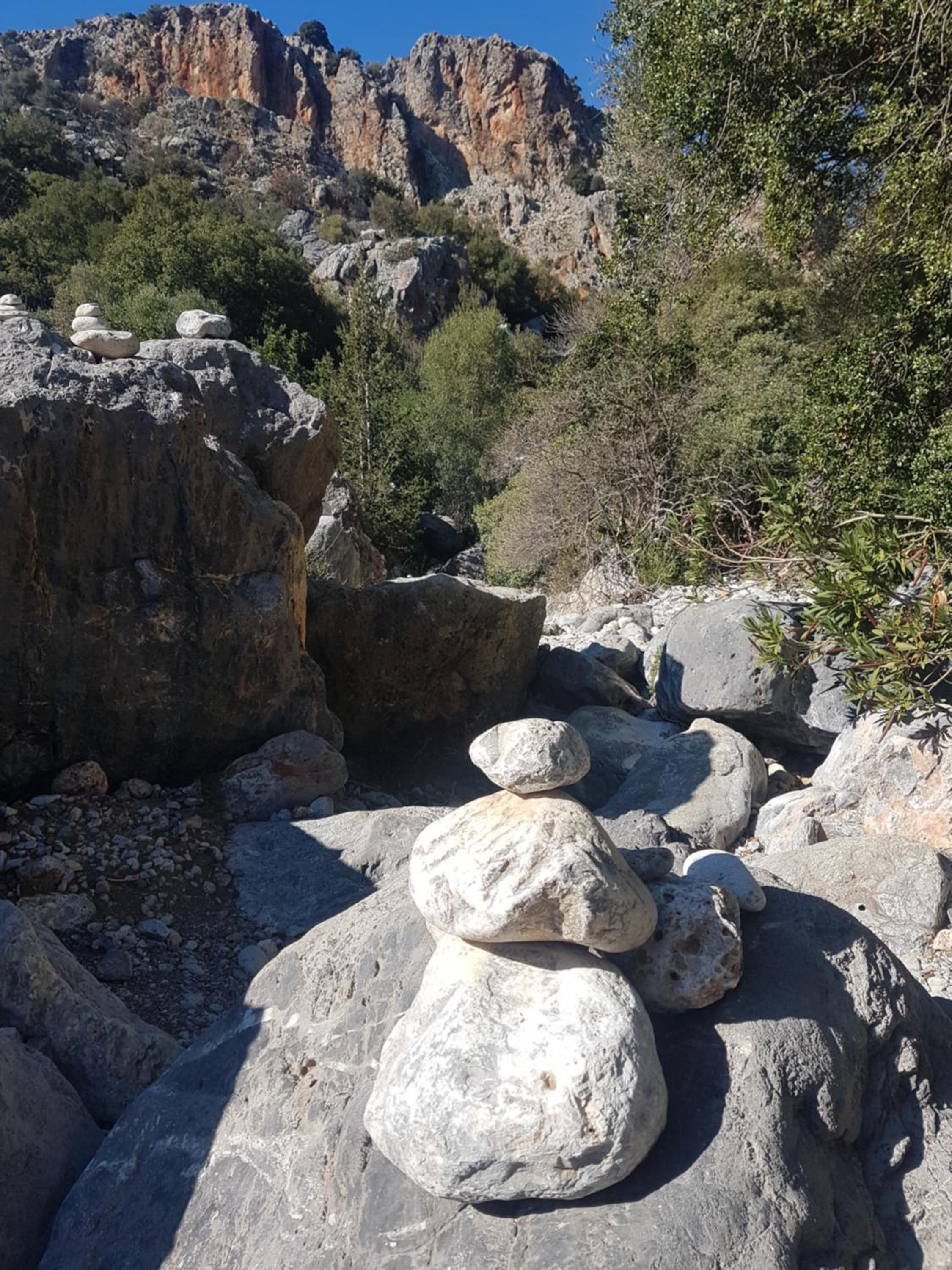 Photo 43