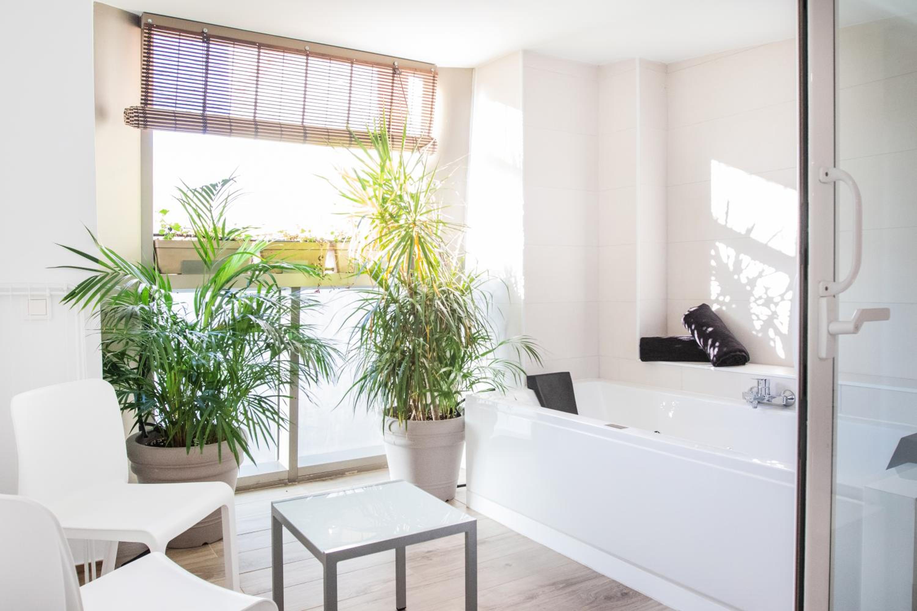 Coccoloba Suites Corralejo