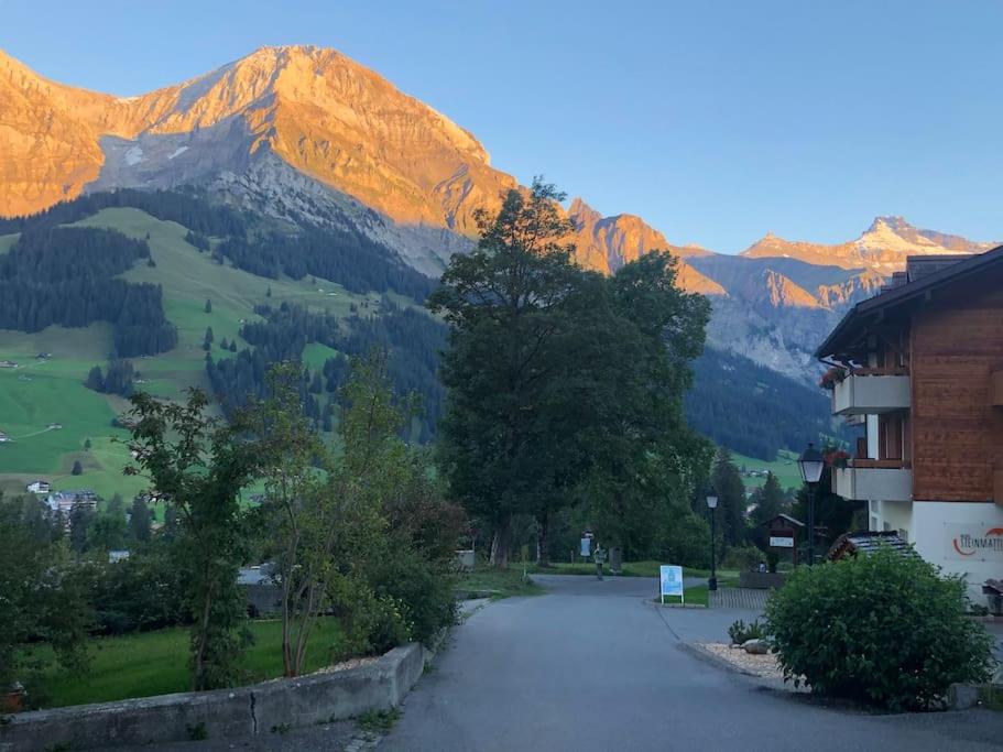1-room apartment * directly by the cable car * Bernese Alps view 3