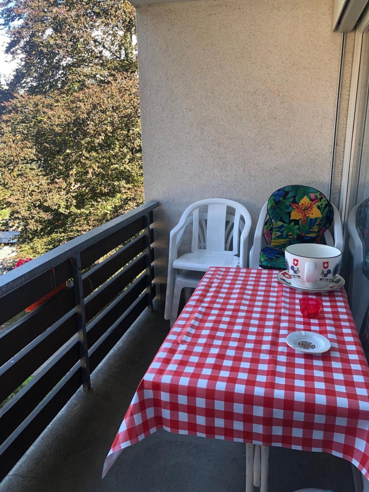 1-room apartment * directly by the cable car * Bernese Alps view 4