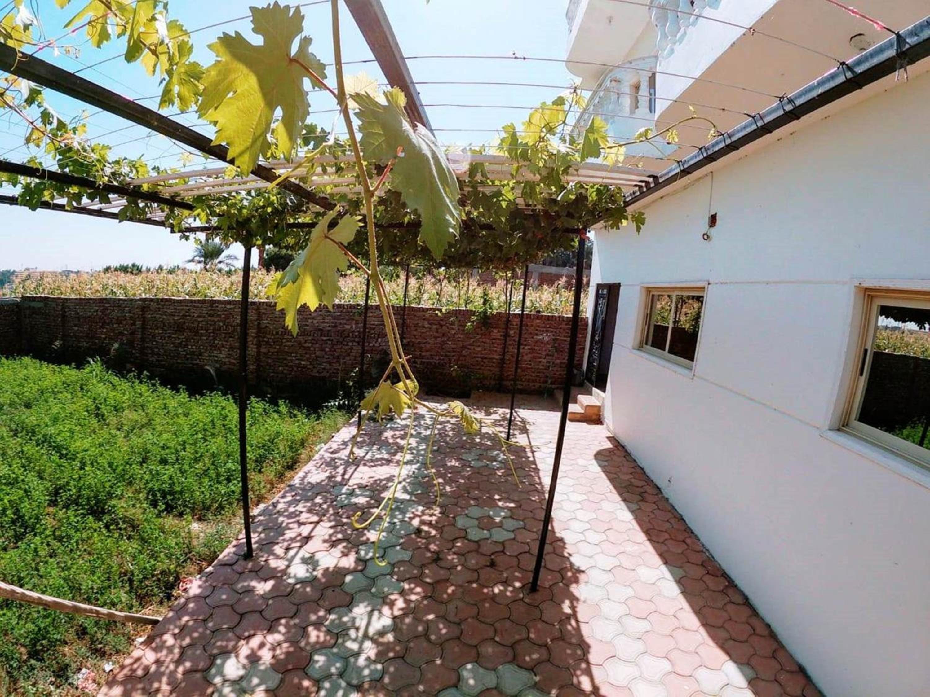 Villa Set ma'at Nile view view 5