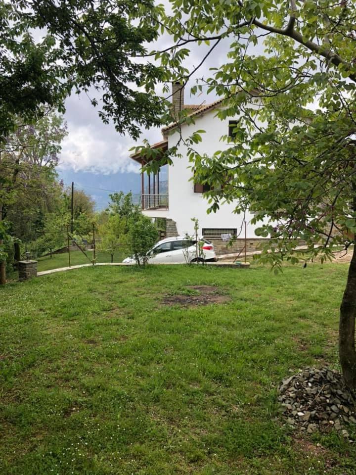Photo 25