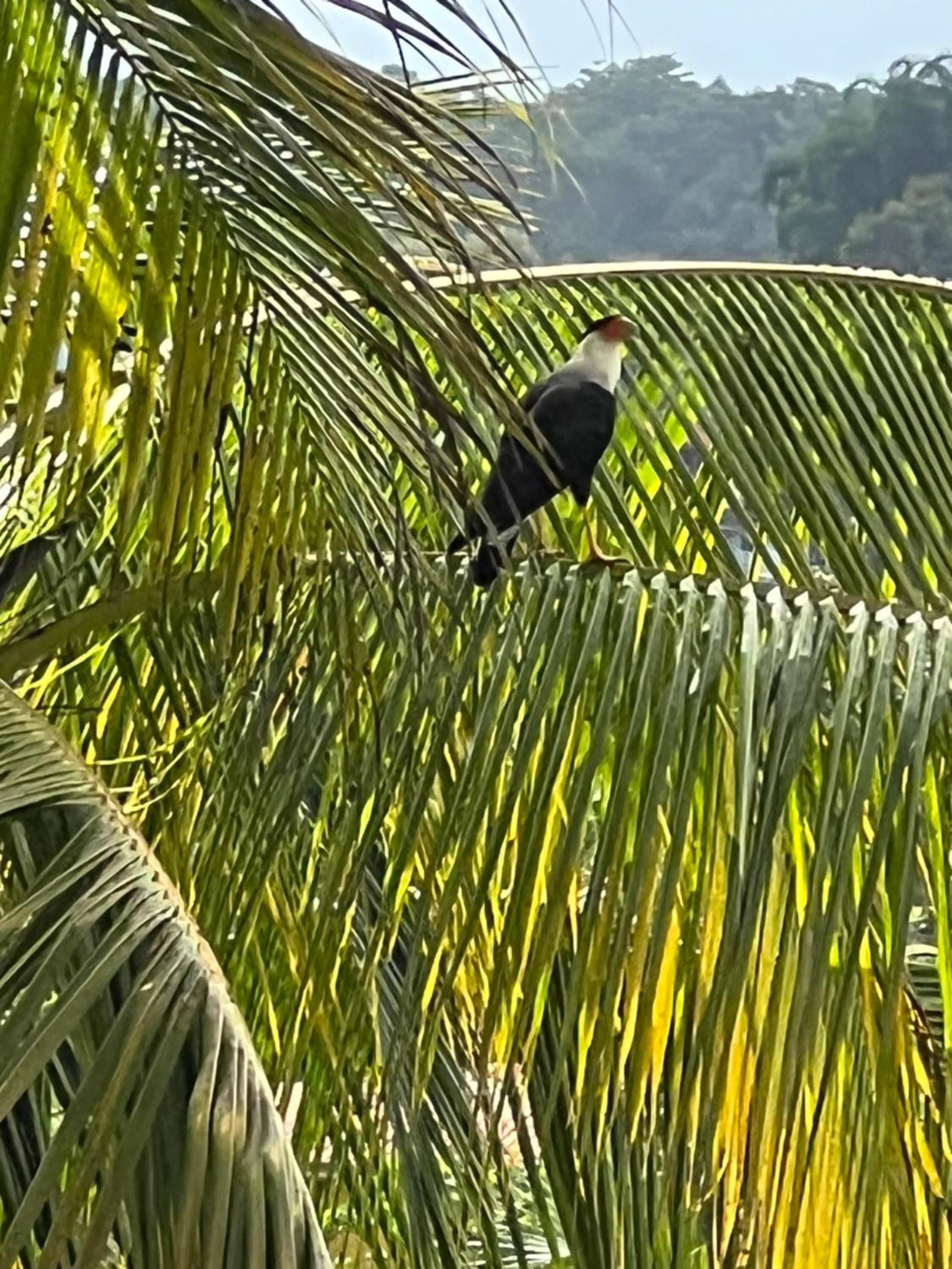 Puesta del Sol