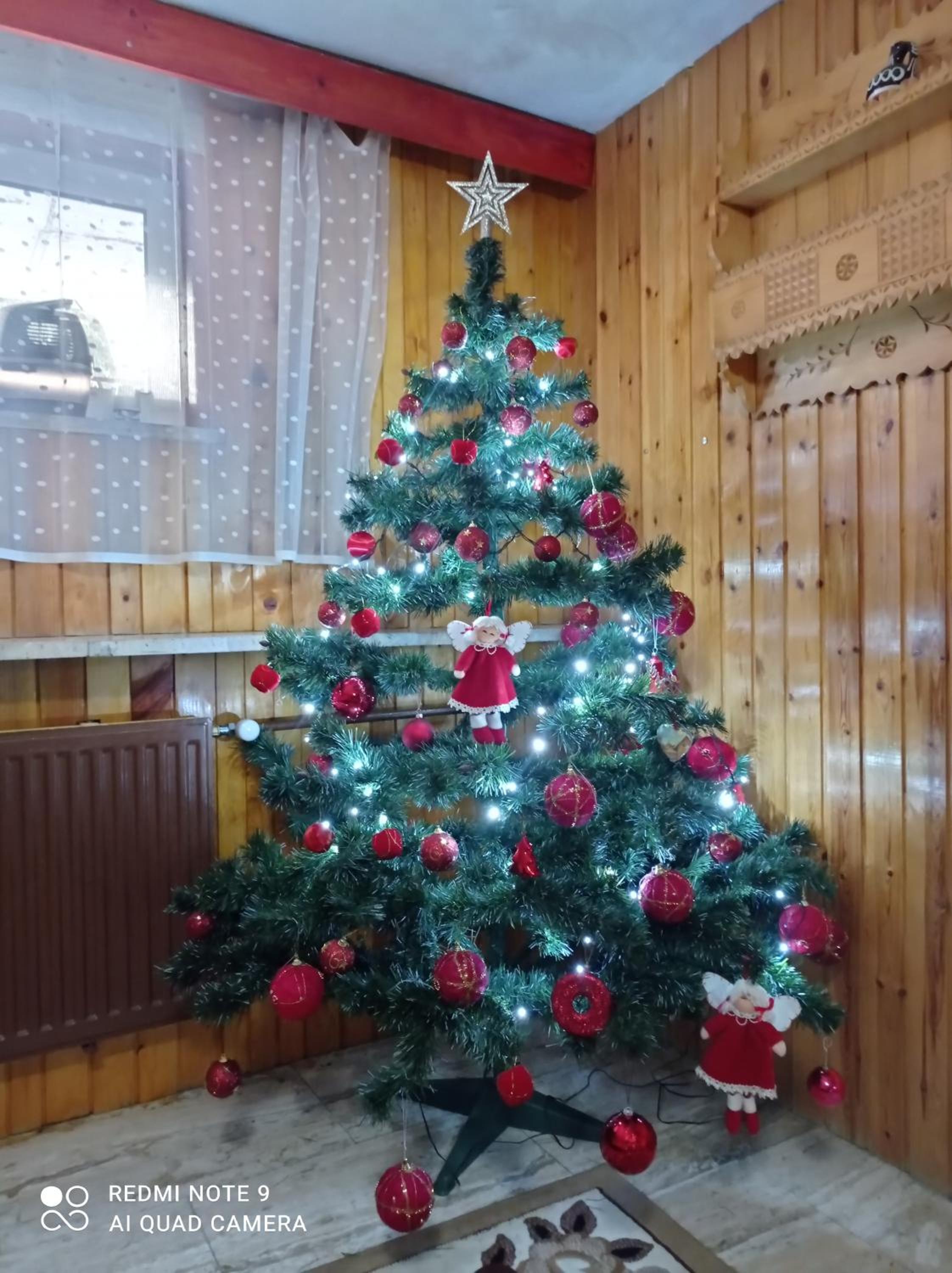 Photo 47