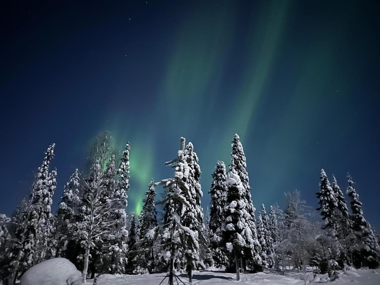 Mökki Rukalla - Aihkinaatippa C1 view 2