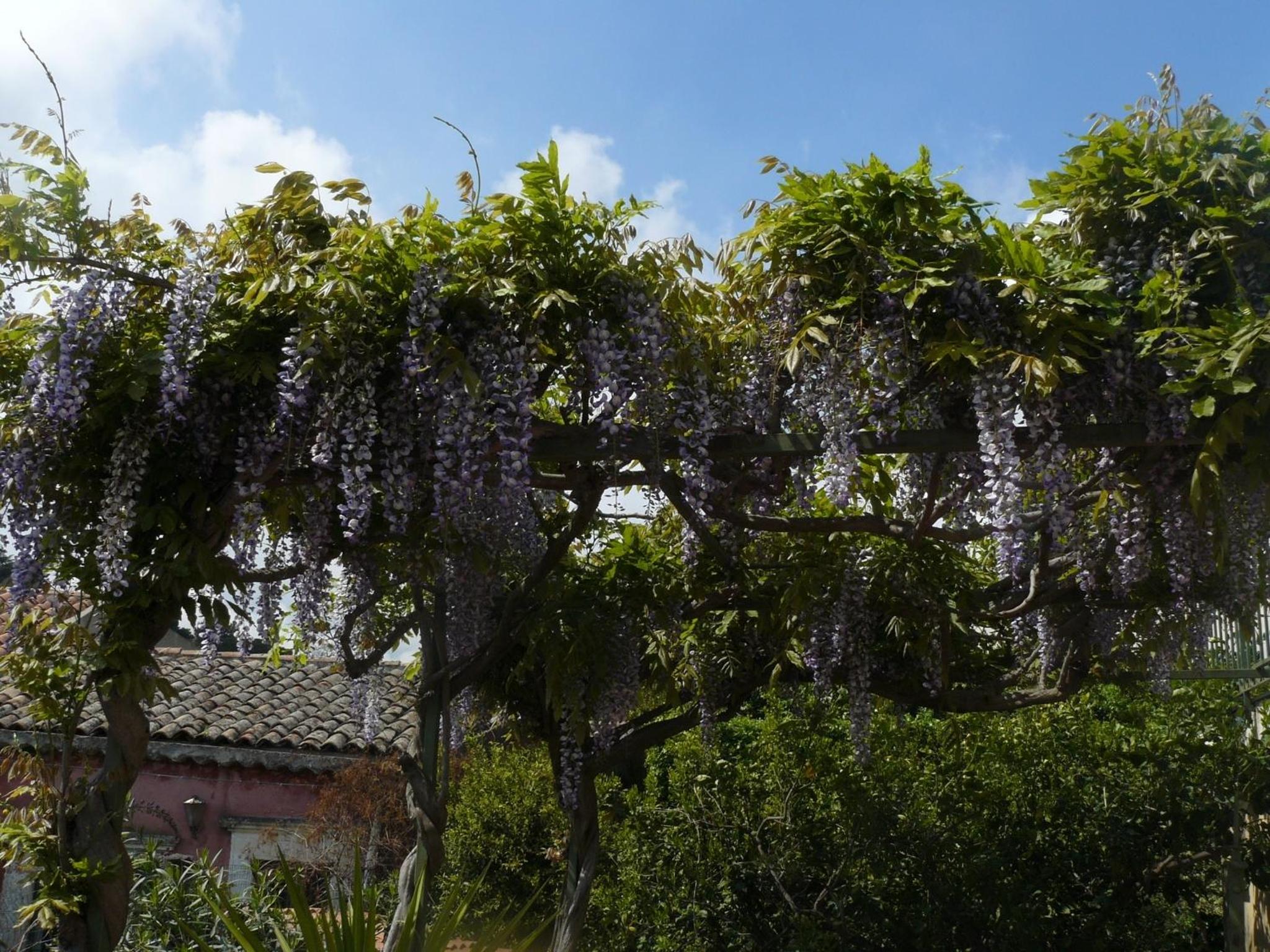 Casa VELARDI photo 5