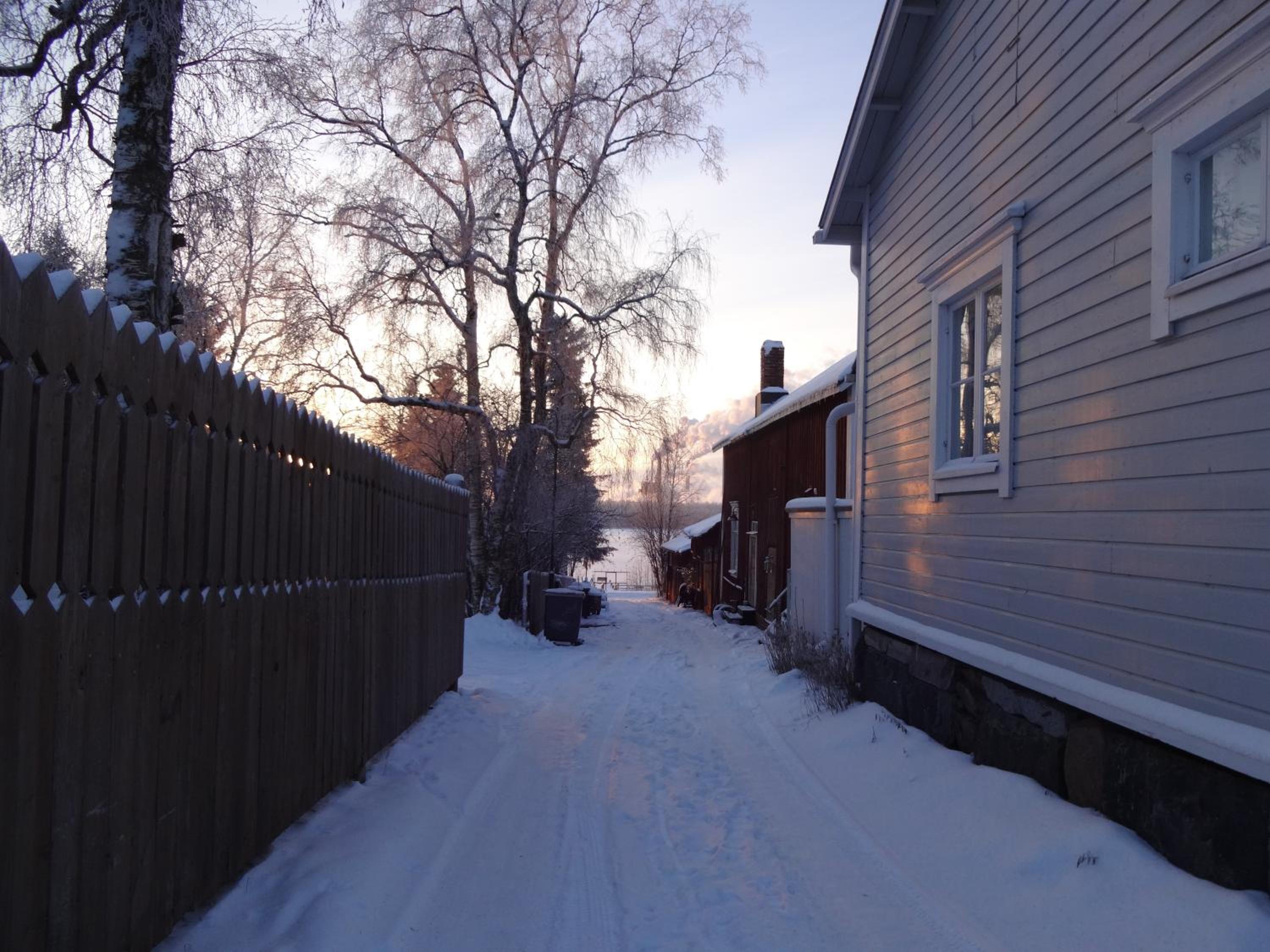Photo 45
