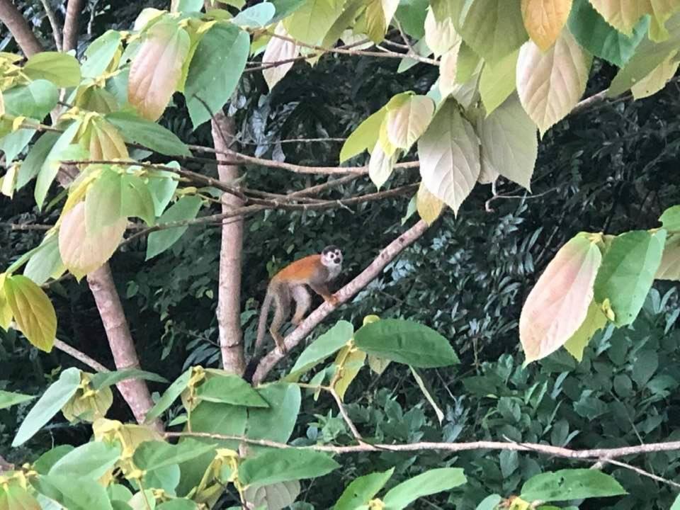 Puesta del Sol