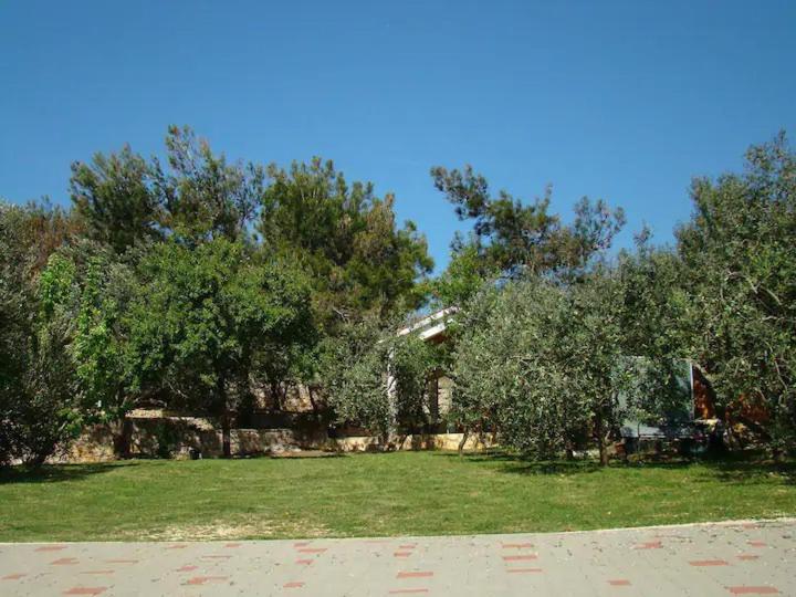 Photo 28