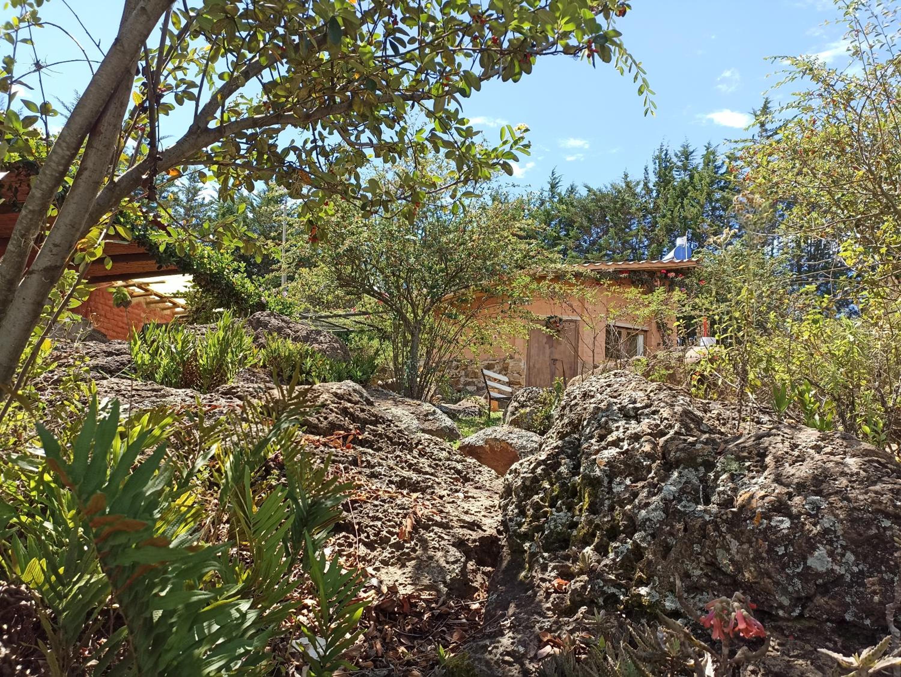 El Hayuelo Ecolodge