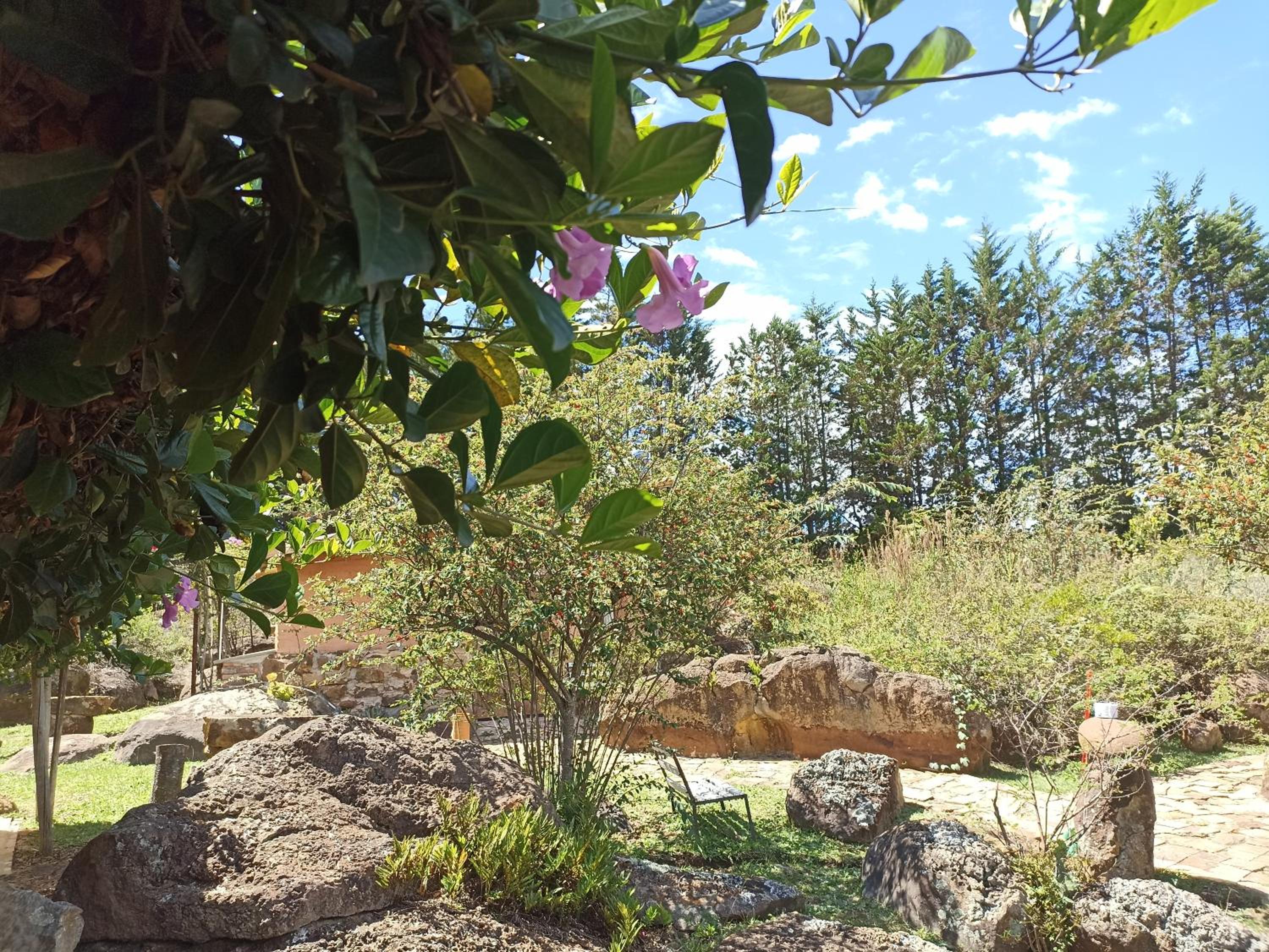 El Hayuelo Ecolodge