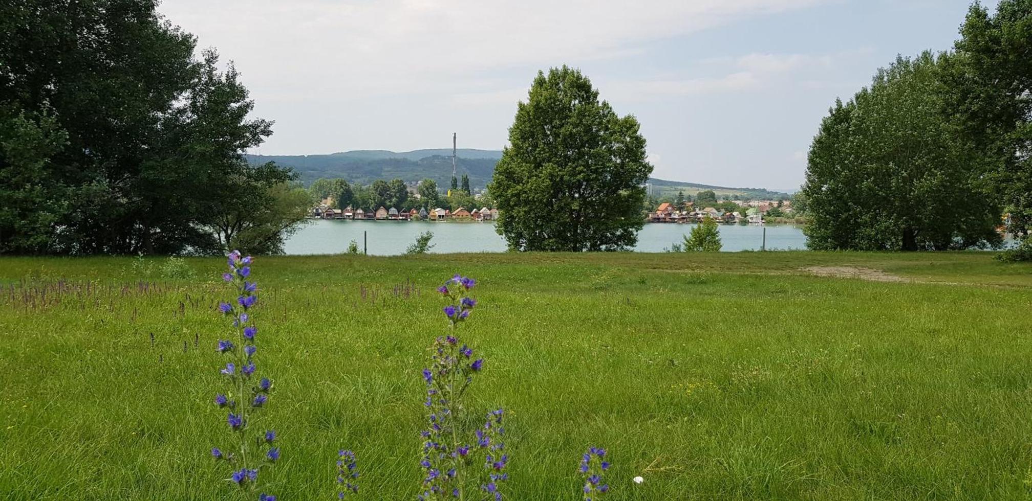 Palatinus Apartman Esztergom