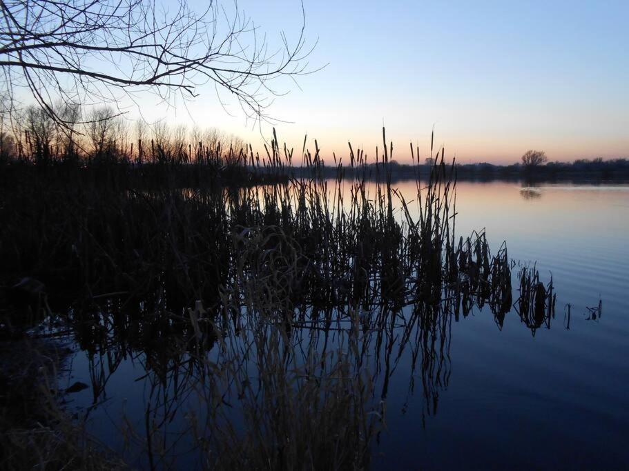 Photo 48