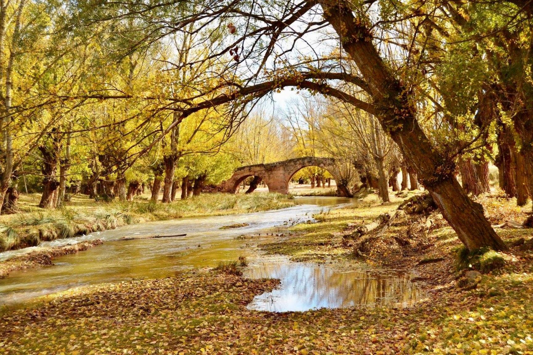 Casa Rural La Yedra