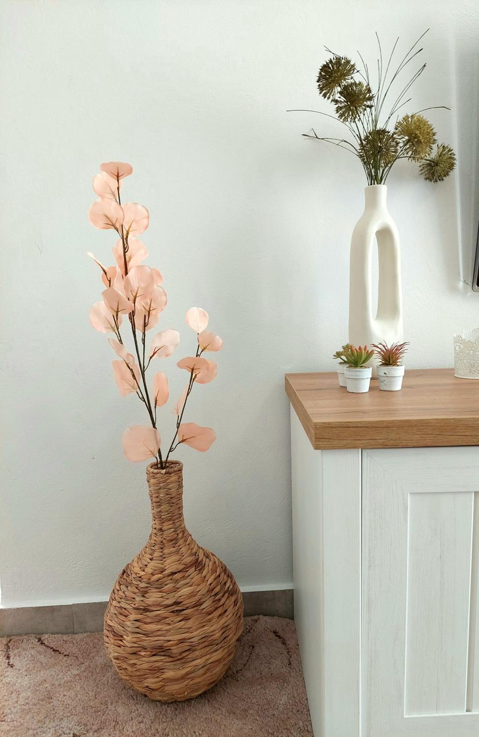 Summer Breeze -Tolo photo 2