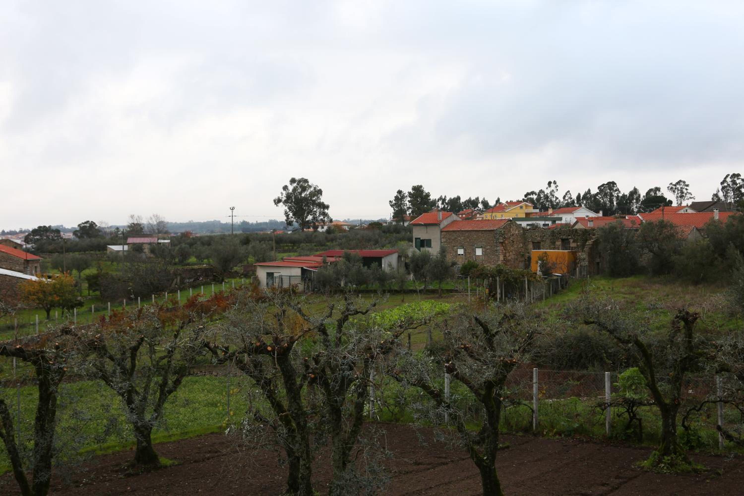 Photo 38
