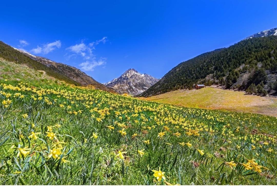 S Valle de incles- Grandvalira free parking