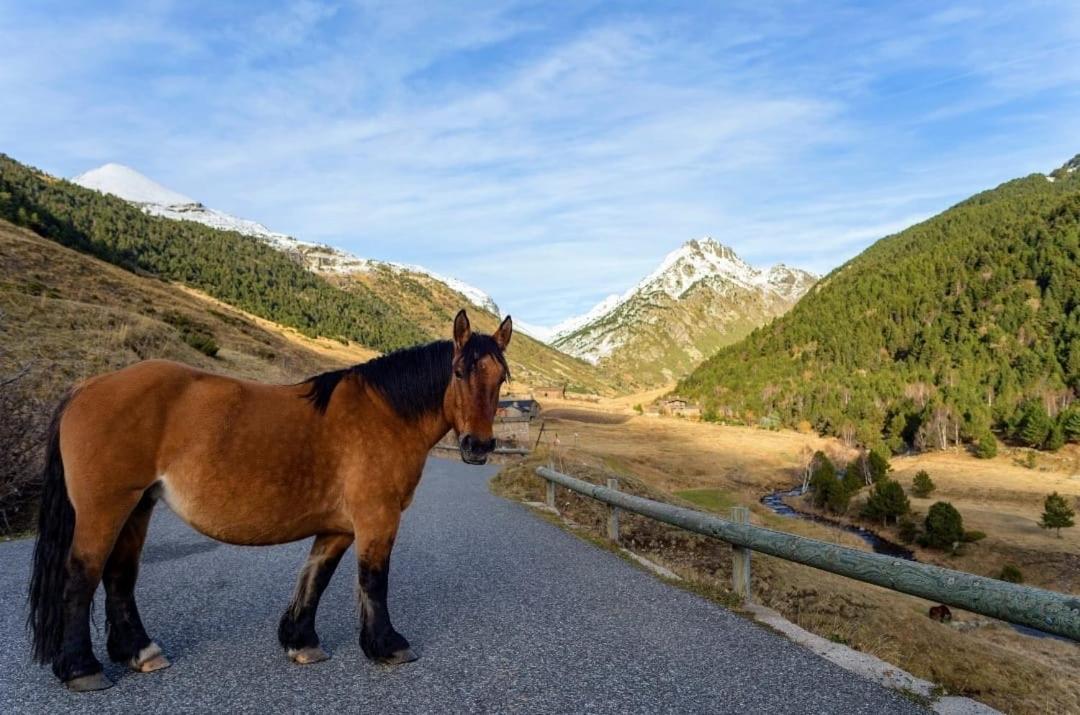 S Valle de incles- Grandvalira free parking