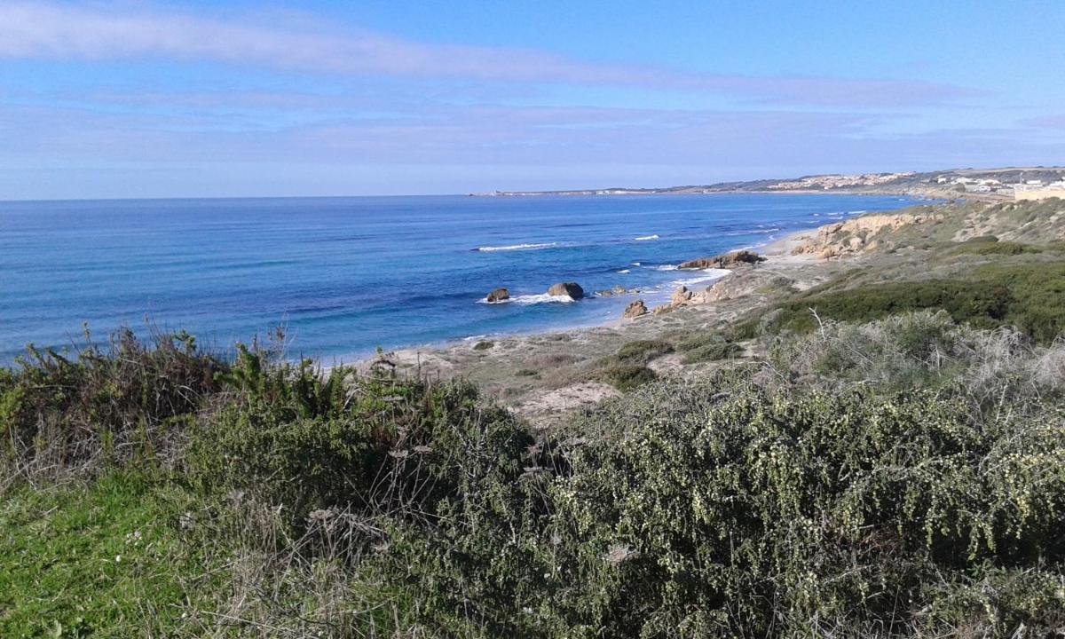 Da Antonio view 3