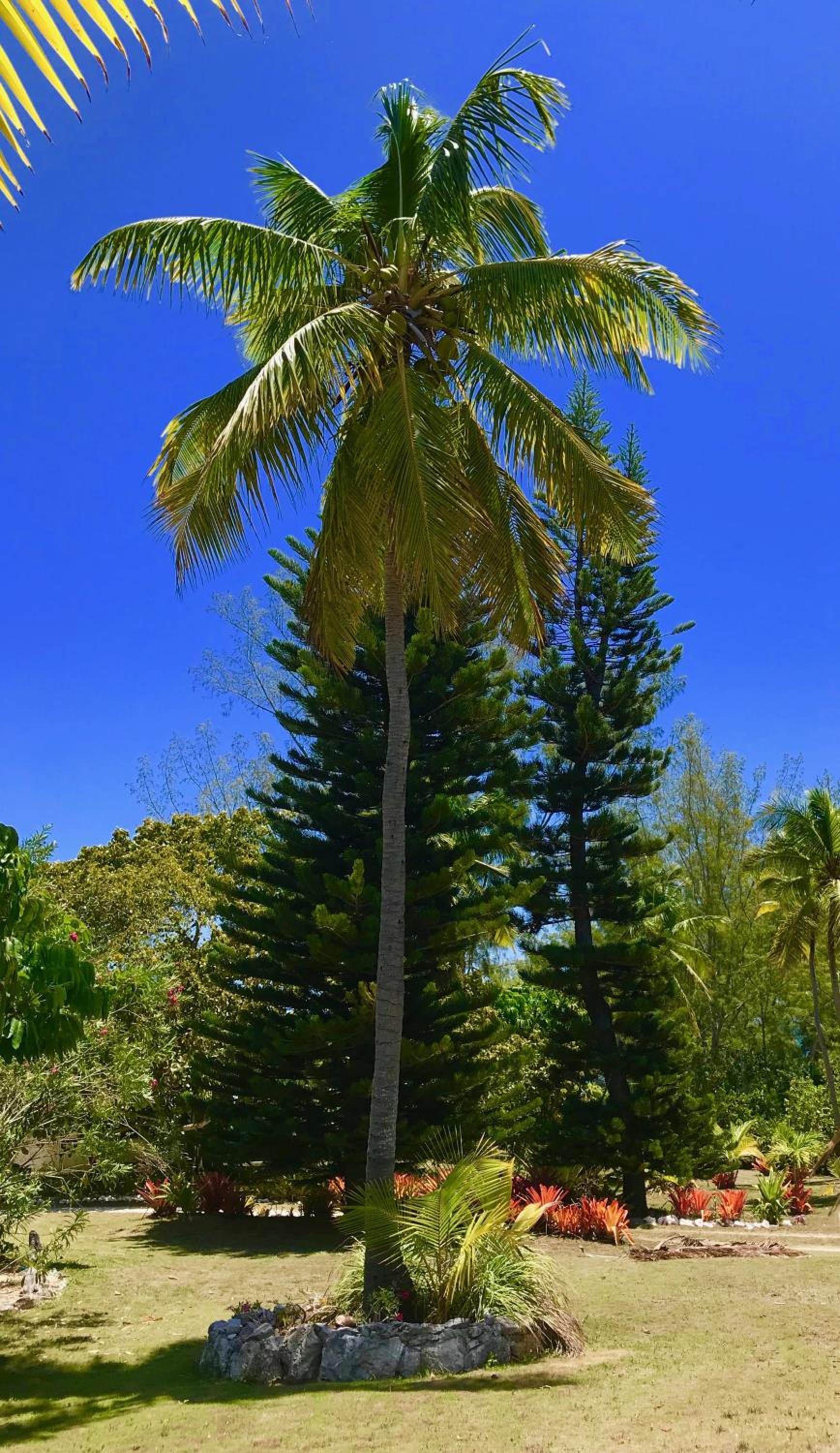 Poponi Cottage cottage - Property Image 13