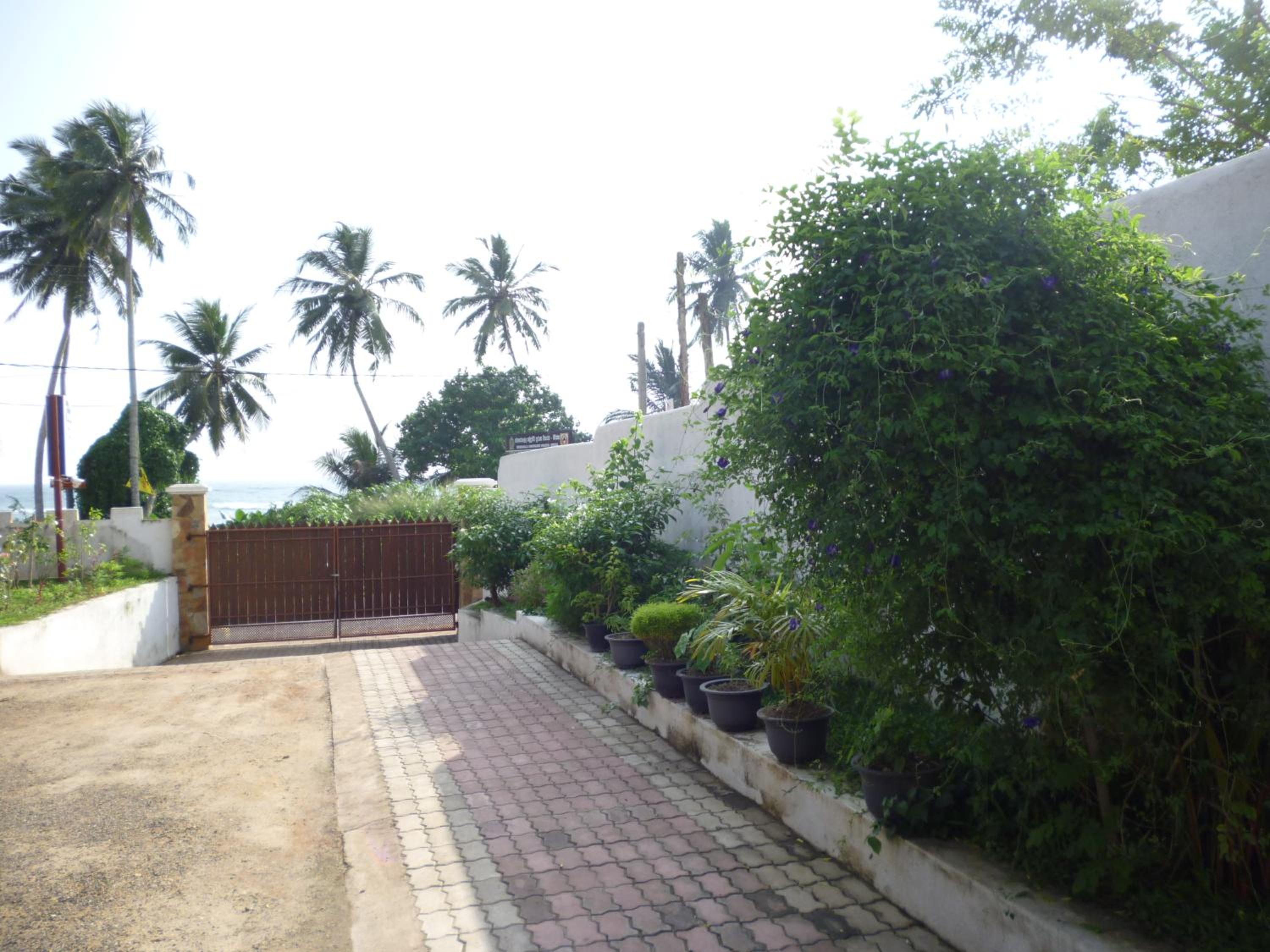 Photo 20