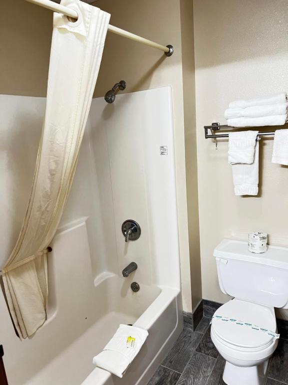 Designer Inn and Suites