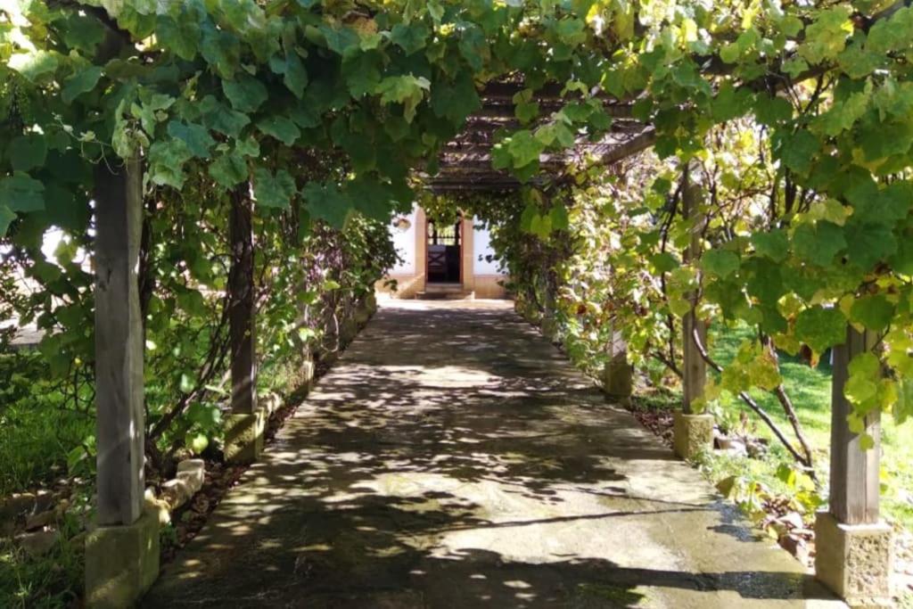 Hermosa cabaña rural Portal de Alejandría