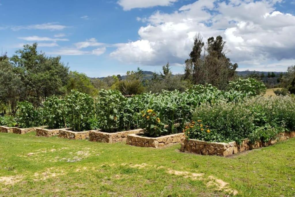 Hermosa cabaña rural Portal de Alejandría