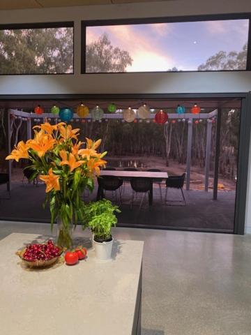 Tocumwal Chocolate School