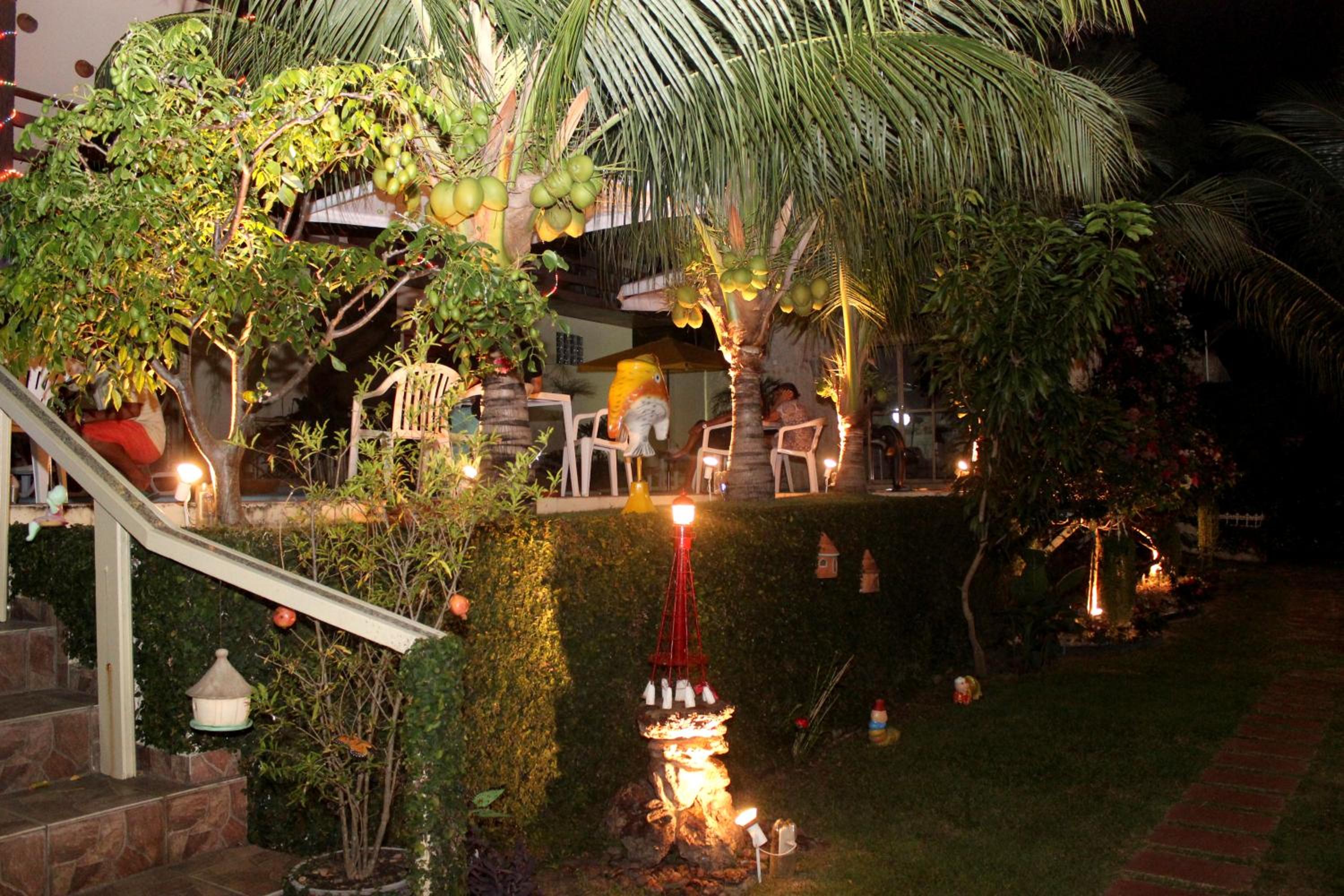 Photo 12