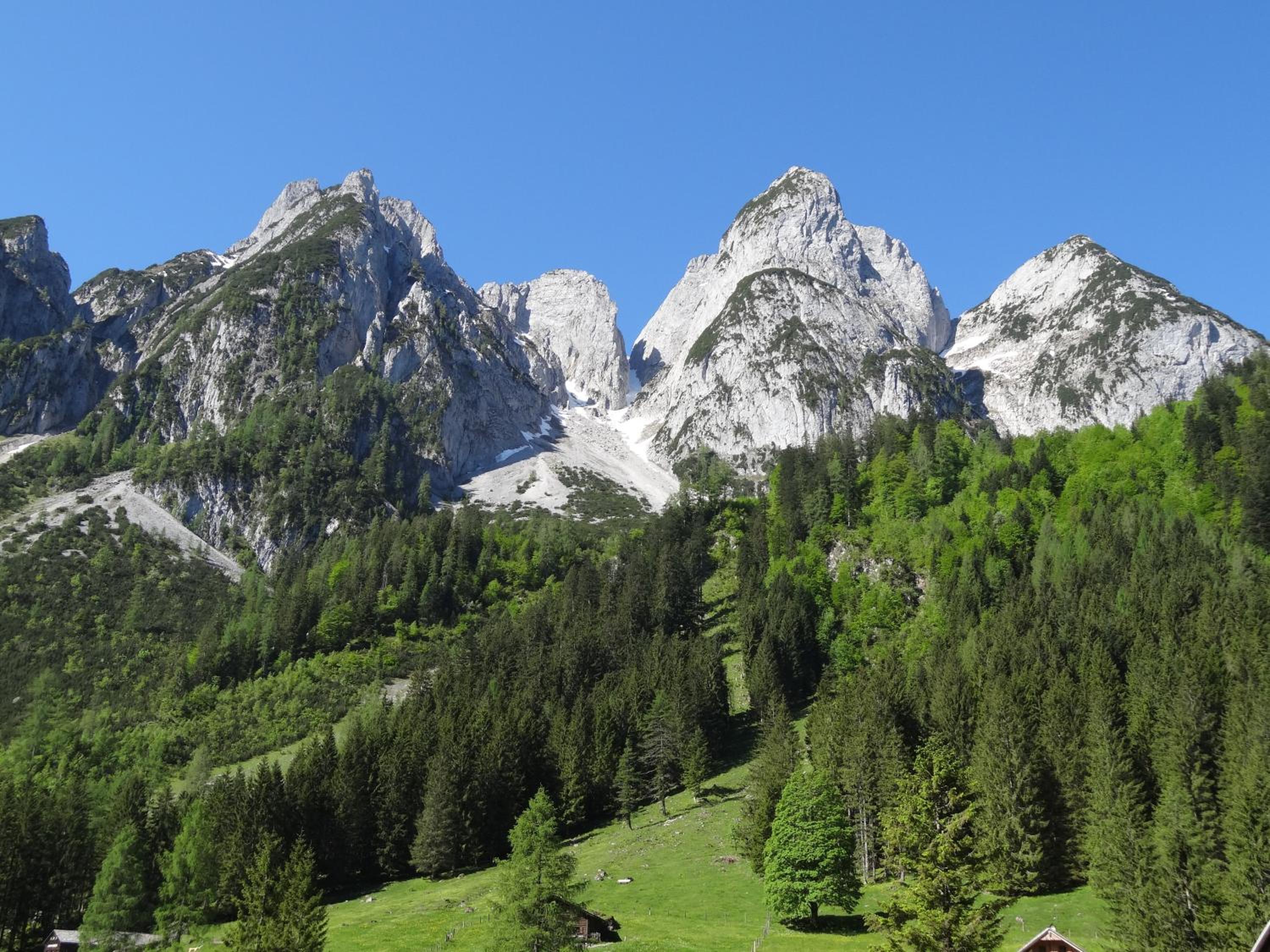 Photo 30