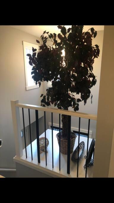 Cozy and beautiful 3 bedroom house close to lake